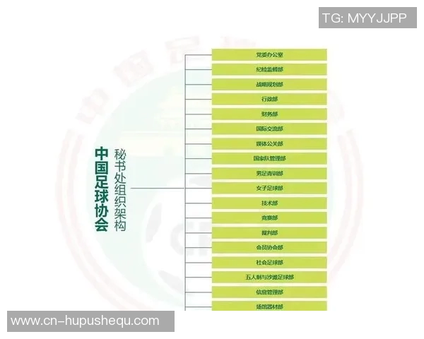 足球协会的历史发展与组织结构全面解析 足球协会的历史发展与组织结构全面解析